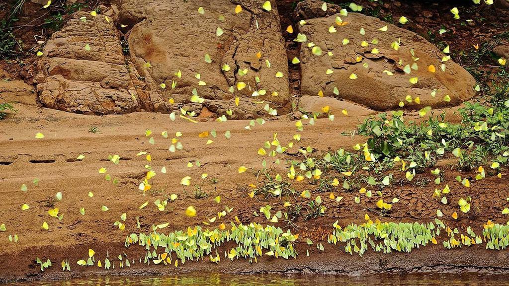 Posada Del Chaman Iguazu Puerto Iguazú Zewnętrze zdjęcie