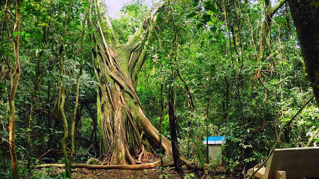Posada Del Chaman Iguazu Puerto Iguazú Zewnętrze zdjęcie
