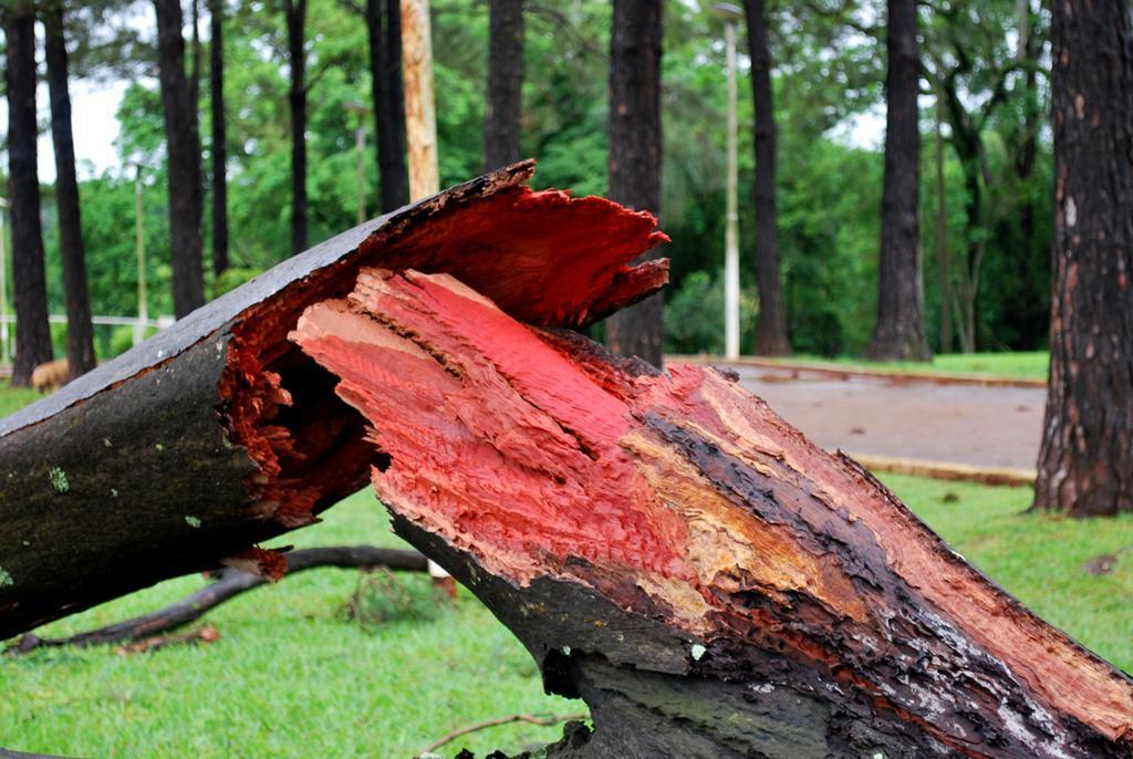 Posada Del Chaman Iguazu Puerto Iguazú Zewnętrze zdjęcie